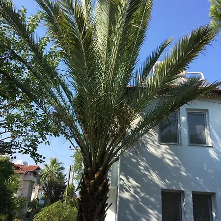 Dalyan Gunaydin Apart Ortaca (Mugla)